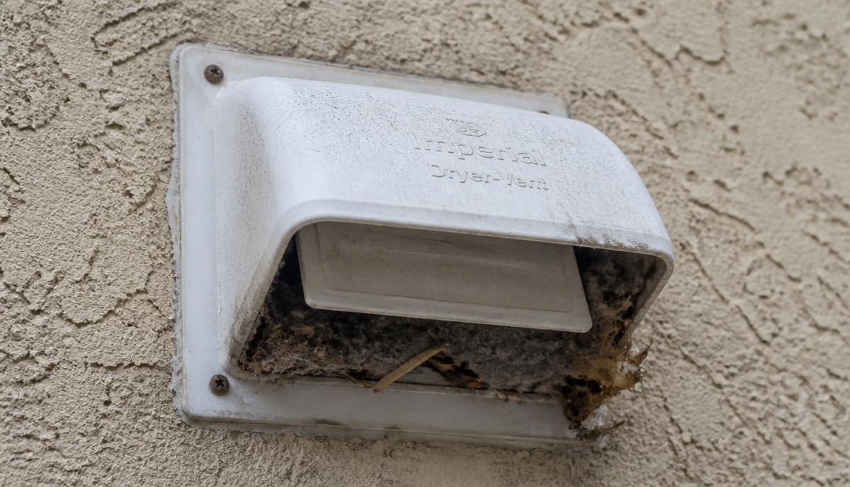 Exterior dryer vent cap on a stucco wall partially blocked by lint and leaf debris