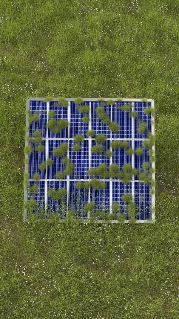 Dust and pollen buildup reducing solar panel efficiency on a California rooftop